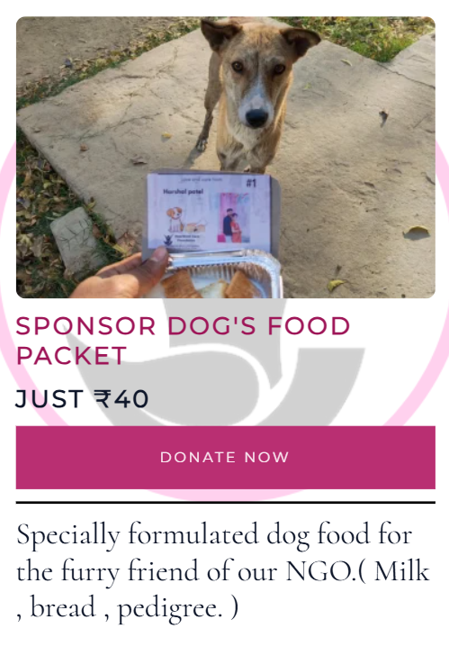 Digital Marketing Company